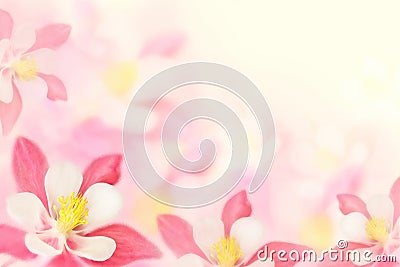 Background - pink flowers Stock Photo