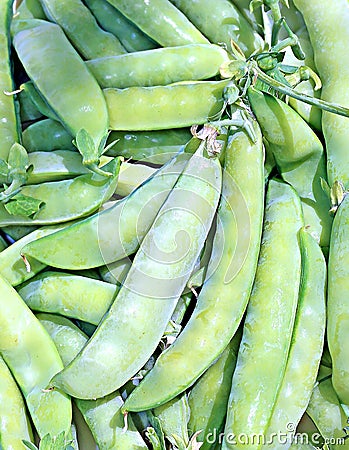 The background of the pods of green peas Stock Photo