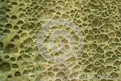 Background porous stone Stock Photo