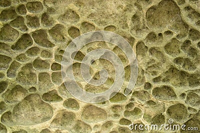 Background porous stone Stock Photo