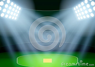 Background for posters night cricket stadium in the spotlight. Vector Vector Illustration