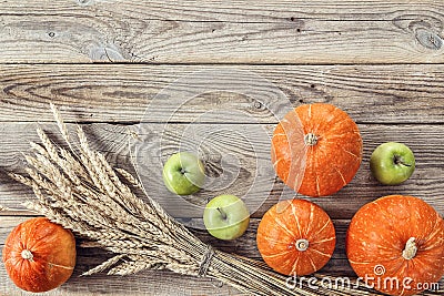 Background with pumpkins, green apples and ears of wheat on the Stock Photo