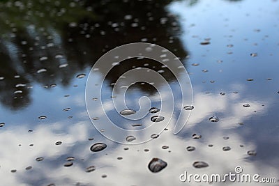 Background, raindrops on a dark reflective surface Stock Photo