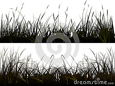 Background of realistic meadow grass/ Vector Illustration