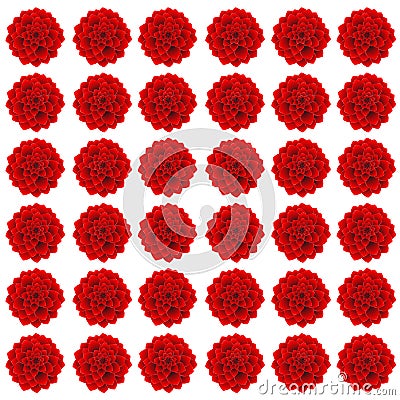 Background of red flowers Vector Illustration