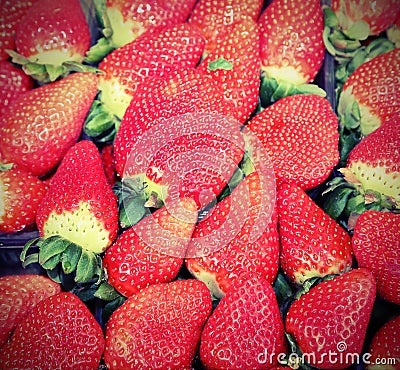 Background of red strawberries for sale with old effect Stock Photo