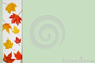 Background of red and yellow maple leaves Stock Photo