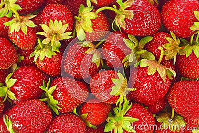 Background of ripe organic farm strawberries Stock Photo