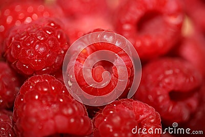 Background of ripe red raspberries fruits natural healthy vitamins power big size high quality botanical print rubus Stock Photo