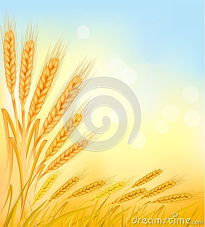Background with ripe yellow wheat ears. Cartoon Illustration