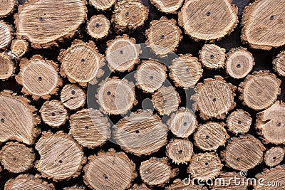 Background from round wooden slices of a tree trunk Stock Photo