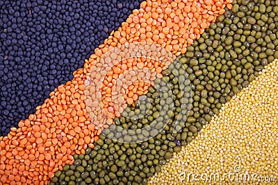 Background with rows of cereals Stock Photo