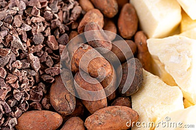 Background of Rows of Chocolate Nibs Cocoa Beans and Cocoa Butter Stock Photo
