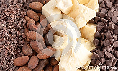 Background of Rows of Chocolate Nibs Cocoa Beans Cocoa Butter and Chocolate Chips Stock Photo