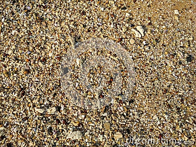 Background of sand, small stones and shells on the sea beach. Hikkaduwa, Sri Lanka Stock Photo