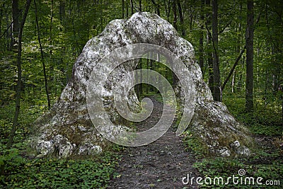 Woods, Forest Rock Arch, Path Stock Photo
