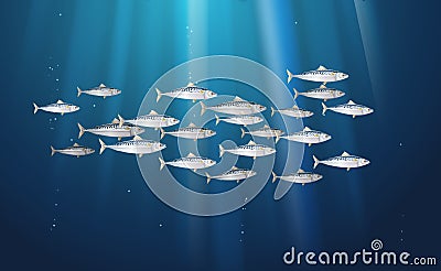 Background, school of scomber, mackerel fishes marine life. Banner fresh fish in a simple water nature. Seafood packaging and Vector Illustration