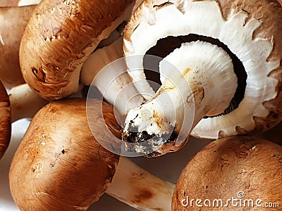 Close-up of several brown mushrooms or cremini Stock Photo