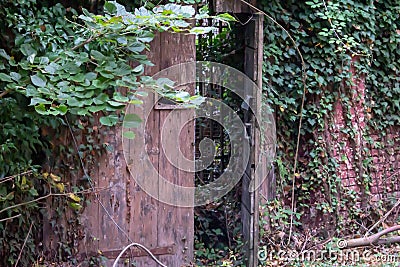 background that shows details of an abandoned house with an old door now invaded by plants. Stock Photo