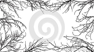 Background of silhouettes of branches of different trees. In the center is space for text. Applied clipping mask Vector Illustration