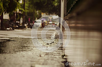 rainy street lucknow Stock Photo