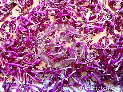 Background of small raspberry, purple flower petals. Stock Photo