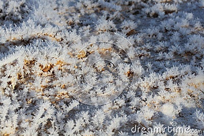 Background snow crystals Stock Photo
