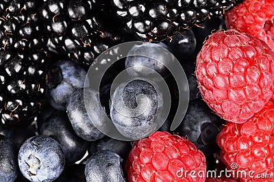 Background of sorted fresh various berries Stock Photo