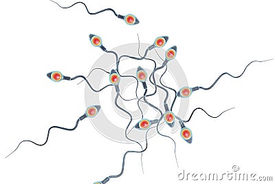 Background with spermatozoans Cartoon Illustration