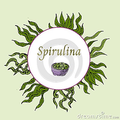 Background of green spirulina pills in hand drawn Vector Illustration