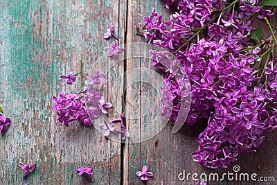 Background with splendid lilac flowers Stock Photo