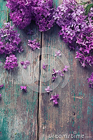 Background with splendid lilac flowers Stock Photo