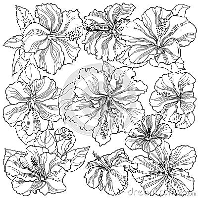 Background sprite texture ornament hibiscus flowers Vector Illustration