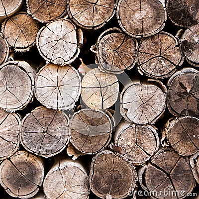 Background of stacked timber logs Stock Photo