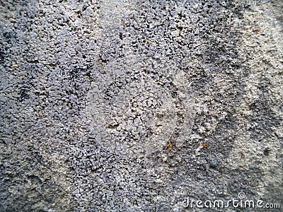 Background of stone chips. Pattern of light gray stone. Stock Photo