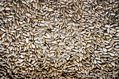 Background of sunflower seeds Stock Photo