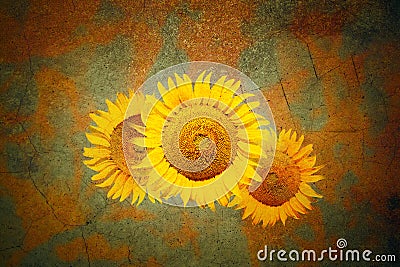 Background with sunflowers in grunge style Stock Photo