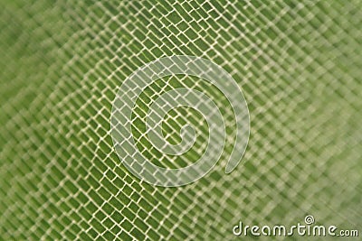 background-surface of a plant leaf Stock Photo