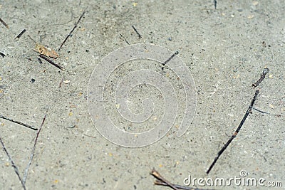 Background with a surface of trampled and dried dirt Stock Photo