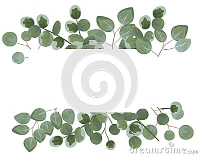 Background for text from eucalyptus. gray and green eucalyptus.i Cartoon Illustration