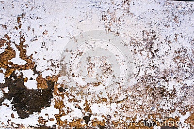 Background of textered wall Stock Photo