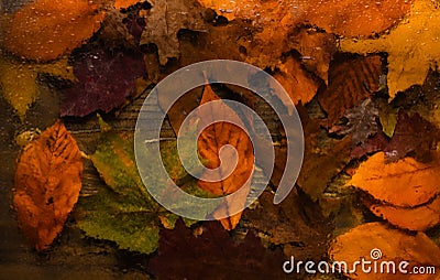 Background texture concept. Autumn background, view through wet glass on wood and fallen leaves. Drops of water or rain Stock Photo