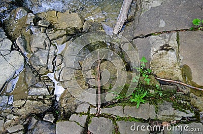 Background texture of cracked rocks near mountain river. Dry stone with cracks like geometric shapes. Carpathian mountains, Stock Photo