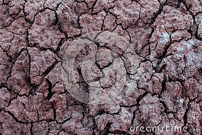 Background, texture of the earth. Natural abstraction Stock Photo