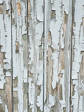 Background texture gray broken paint on old garage wooden door Stock Photo