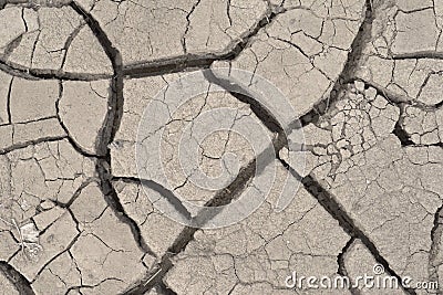 Gray cracked eart Stock Photo