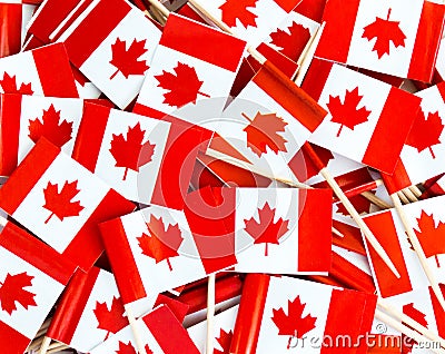 Background texture - a jumble of Canadian maple leaf flag toothpicks Stock Photo