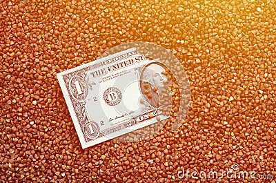 The background texture of a large pile of buckwheat, in the middle of which you see a bill of one US dollar. The concept of highe Stock Photo