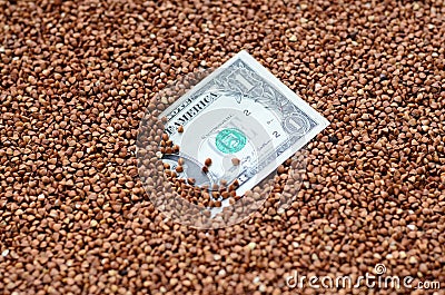 The background texture of a large pile of buckwheat, in the middle of which you see a bill of one US dollar. The concept of highe Stock Photo