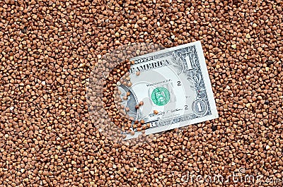 The background texture of a large pile of buckwheat, in the middle of which you see a bill of one US dollar. The concept of highe Stock Photo